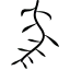 マカダミアミルク