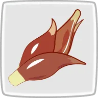 生態