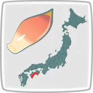 高知県