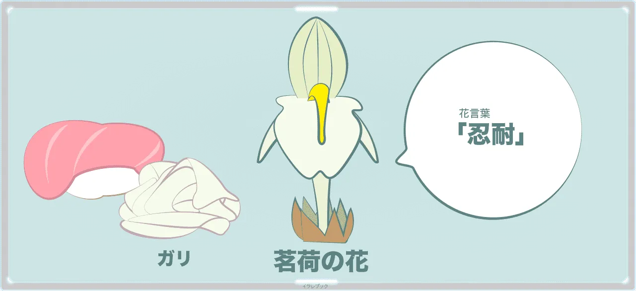 茗荷の花