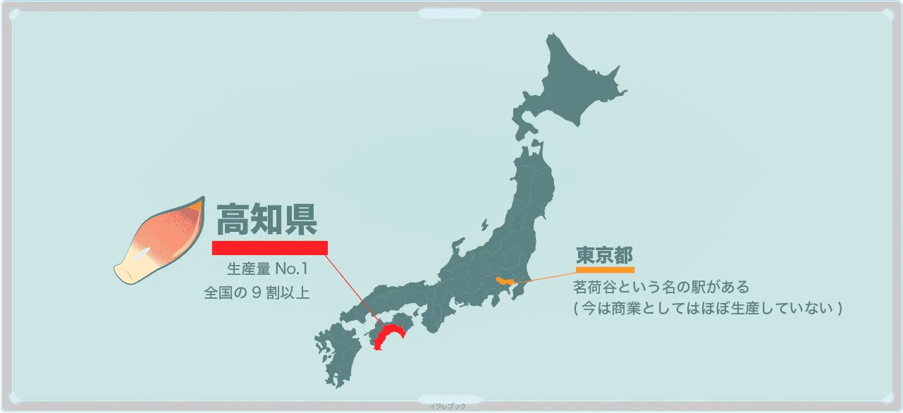 茗荷の産地
