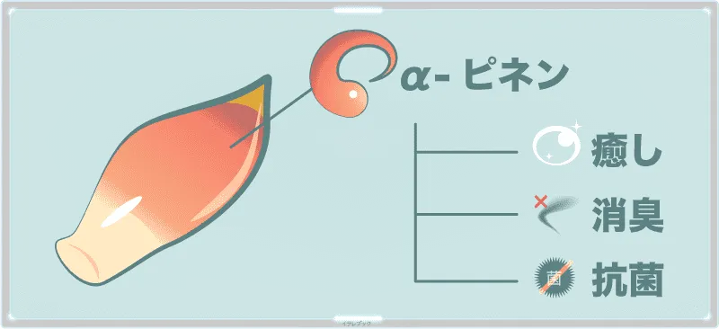 α-ピネンには、癒し効果、それに消臭、抗菌効果がある