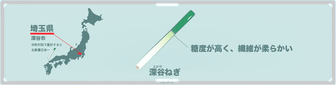 ネギの選び方