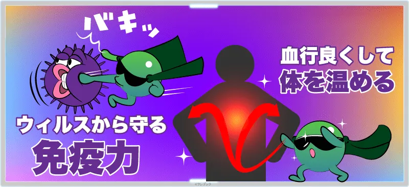 【ねぎの栄養】みじん切りと冷凍保存!栽培と栄養も詳しく!