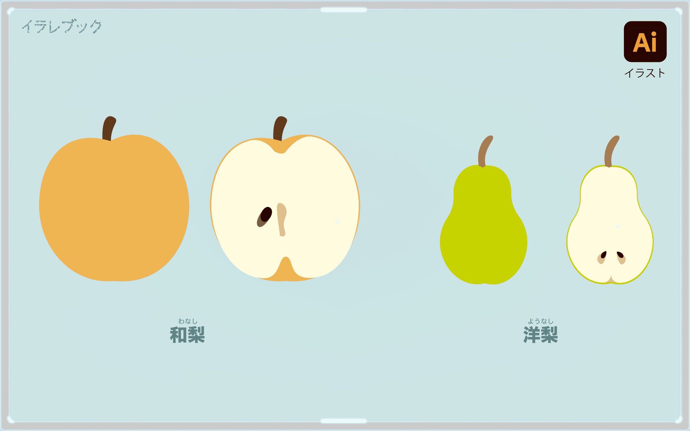 梨 シャキシャキの秋の味覚 カロリー 栄養 洋梨と和梨の違いや共通点を解説 Pear