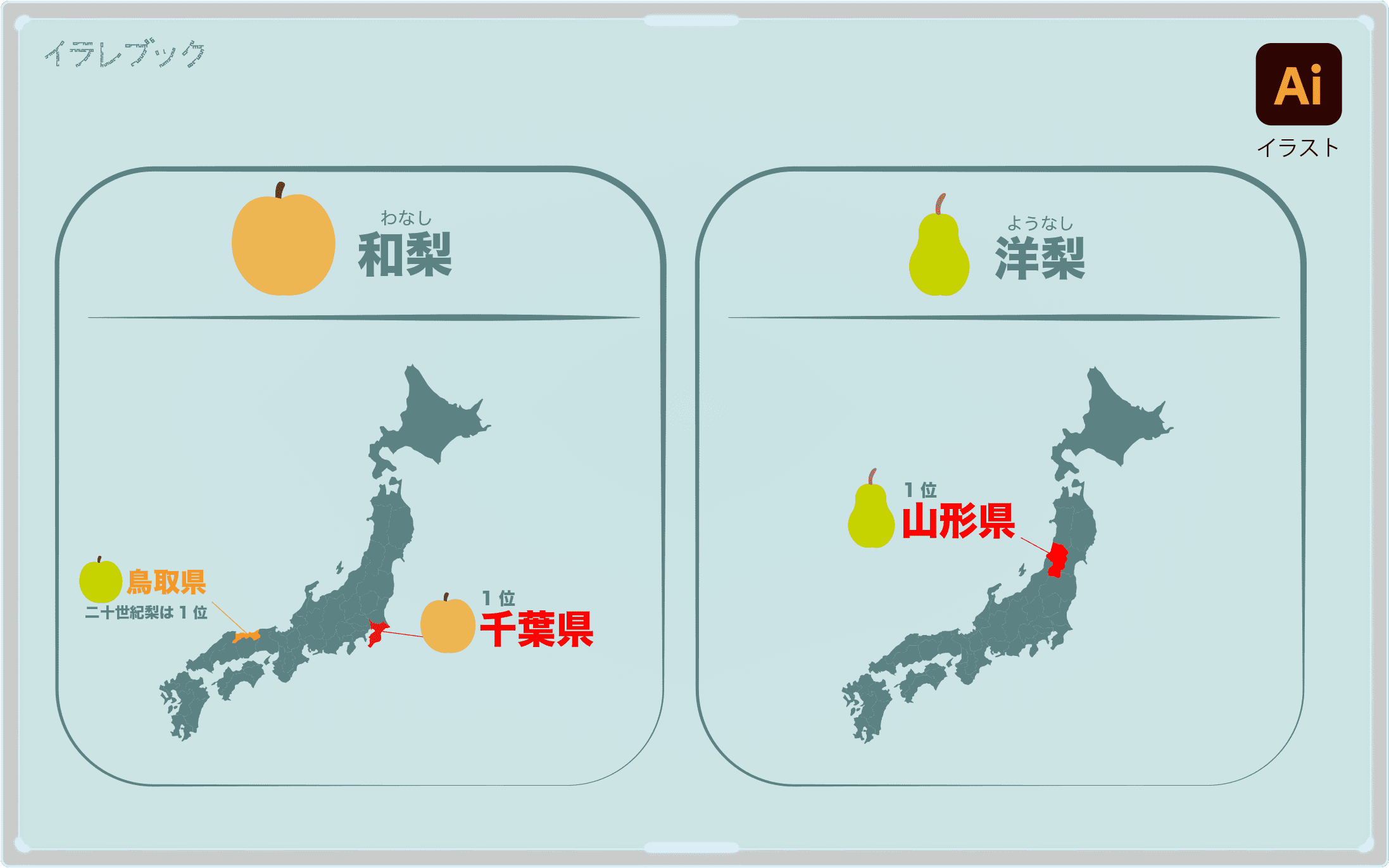 梨 シャキシャキの秋の味覚 カロリー 栄養 洋梨と和梨の違いや共通点を解説 Pear