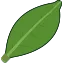 ジャスミン茶の茶葉の絵文字