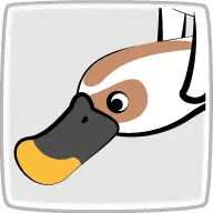 カモ