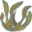 海の昆布の絵文字