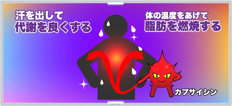 キムチには、辛み成分であるカプサイシンがある