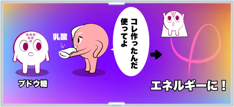 ブドウ糖をエネルギーに変える乳酸をつくる菌