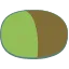 類似点