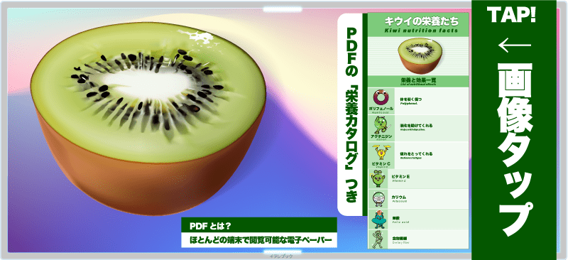 キウイの栄養たち PDF