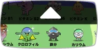 栄養成分と効果一覧