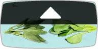 ほうれん草と栄養比較