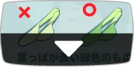 美味しい選び方