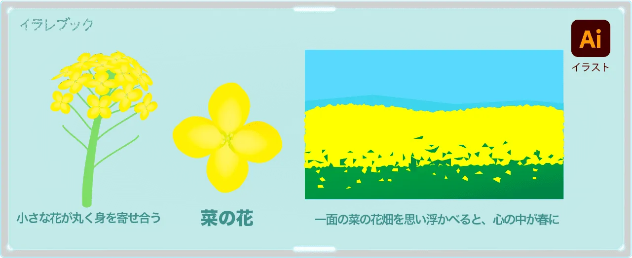 菜の花の効果