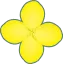 小松菜の花の絵文字