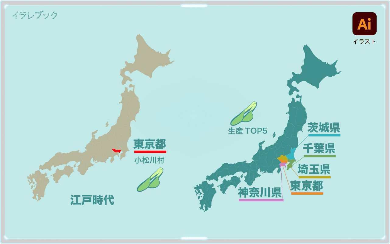 小松菜の生産TOPは関東地方。江戸時代に小松川村という村でたくさん作られていたという
