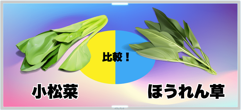 小松菜とほうれん草を比較