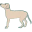 世界とこんにゃく