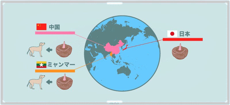 中国やミャンマーなど、アジアを中心にこんにゃく芋は作られている