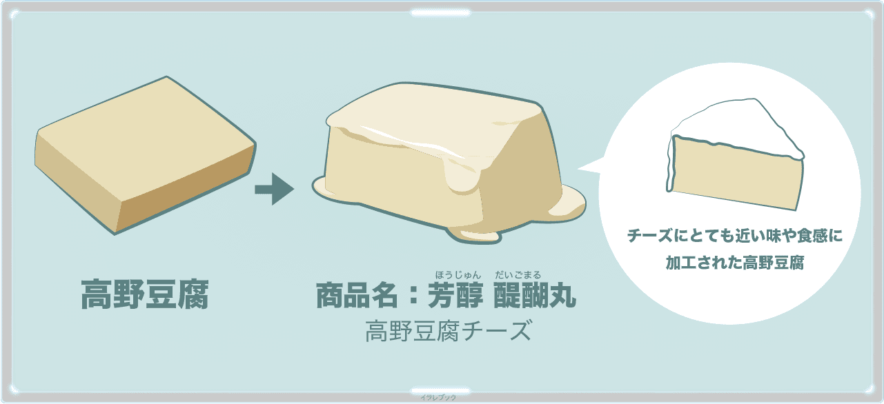高野豆腐イラスト