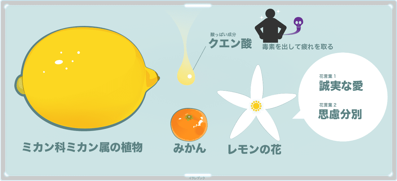 レモンのビタミンc レモングラスからレモンサワーにレモン谷まで Lemon