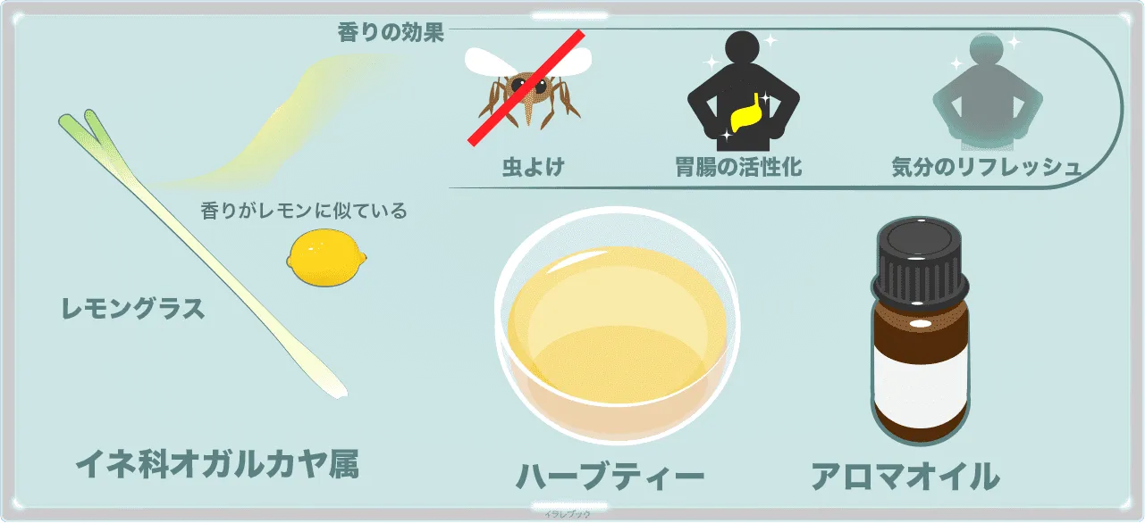 レモングラス