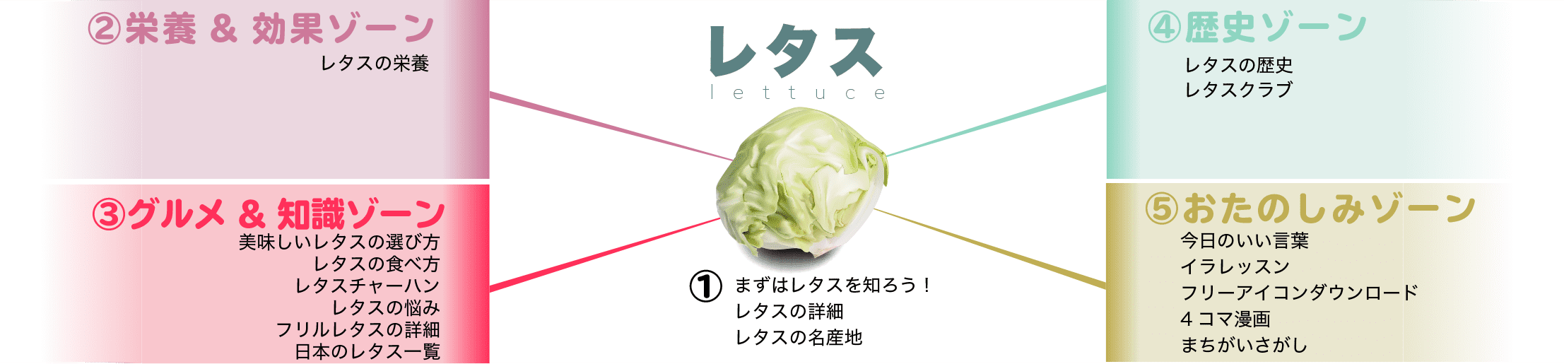 レタスの栄養とフリルレタス品種一覧も レタスチャーハンレタスクラブ Lettuce