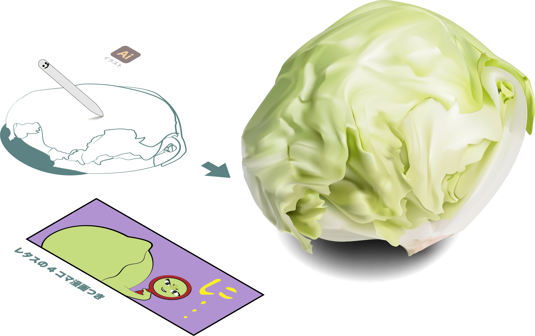 レタスイラスト　Lettuce2