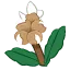 びわの花の絵文字