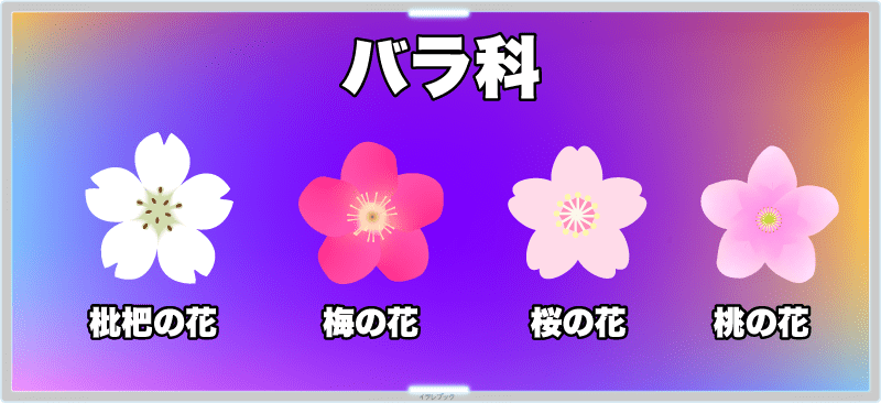 枇杷の花、梅の花、桜の花、桃の花