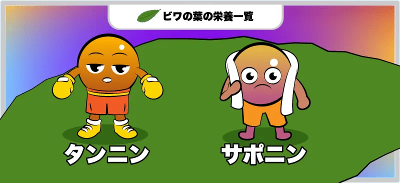 びわの葉の栄養と効能一覧