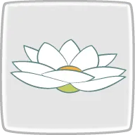 蓮と睡蓮