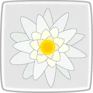 花言葉
