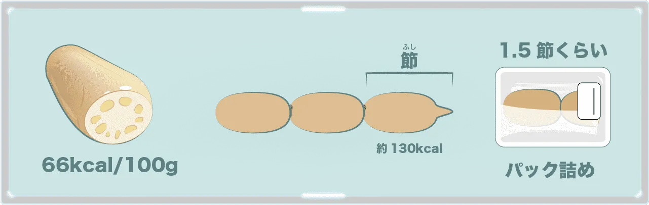 レンコンの節とは。スーパーなどにあるパック詰めは1.5節くらい