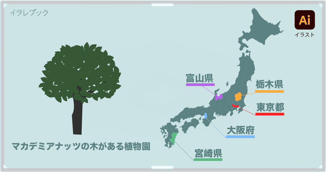 マカデミアナッツオイルで髪や肌が若返り マカダミアミルクとチョコ Macadamianut