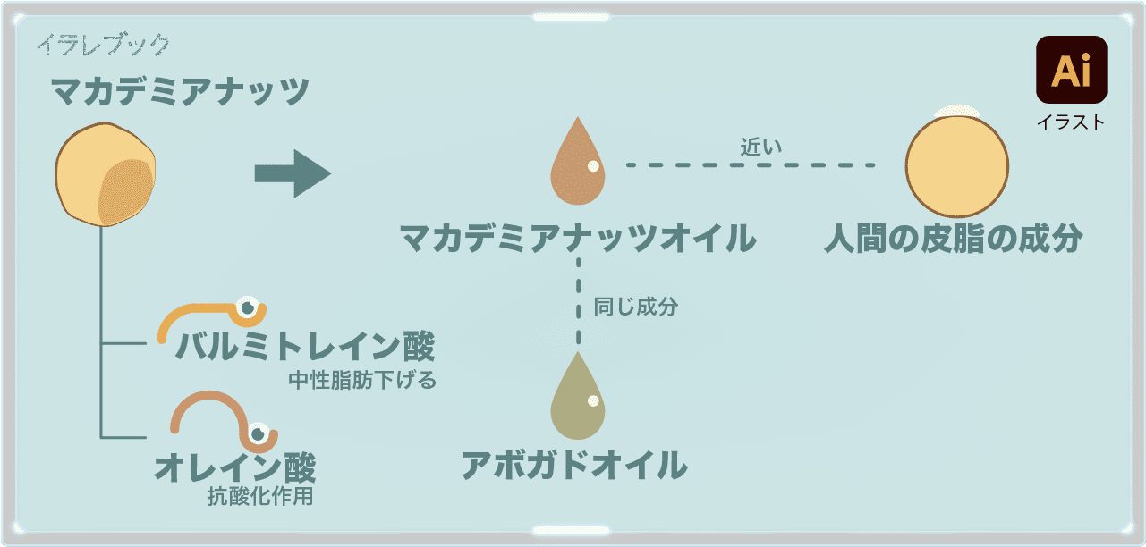 マカデミアナッツオイルで髪や肌が若返り マカダミアミルクとチョコ Macadamianut