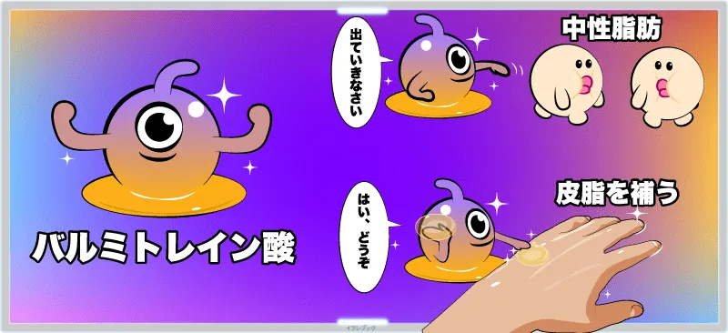 バルミトレイン酸は中性脂肪を下げる働きがある