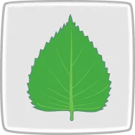 Perilla
