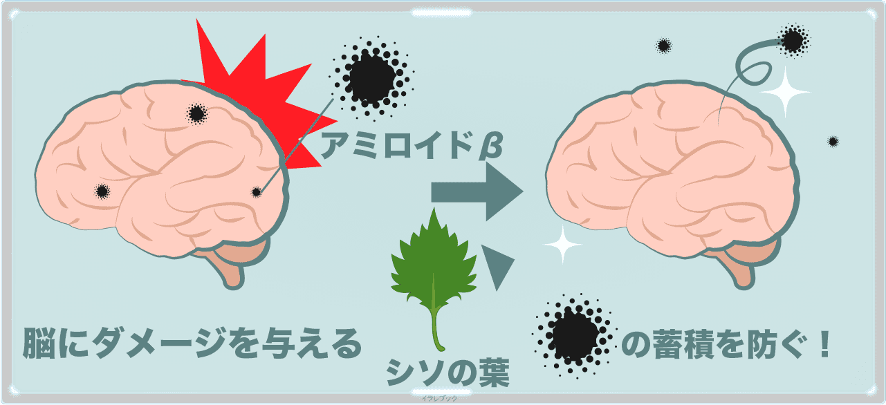 知症を予防したい人