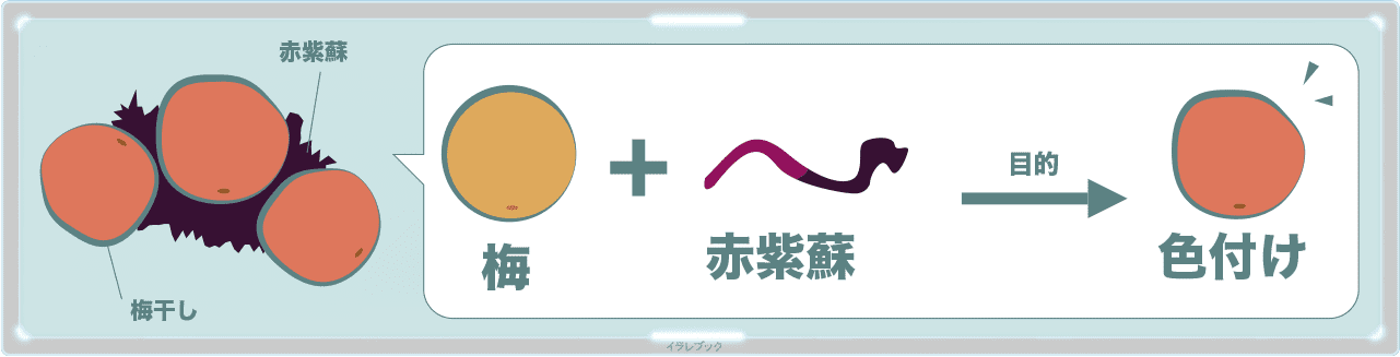 梅干しと赤紫蘇の関係