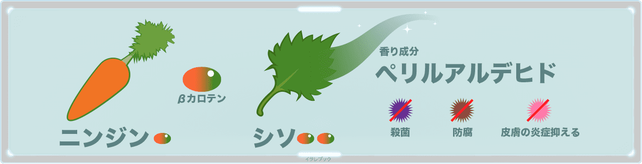シソの栄養