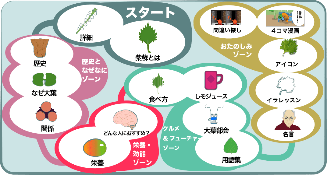 生野菜でbカロテンno 1紫蘇 シソの葉と大葉って違うの 青紫蘇と赤紫蘇は Macrophyll