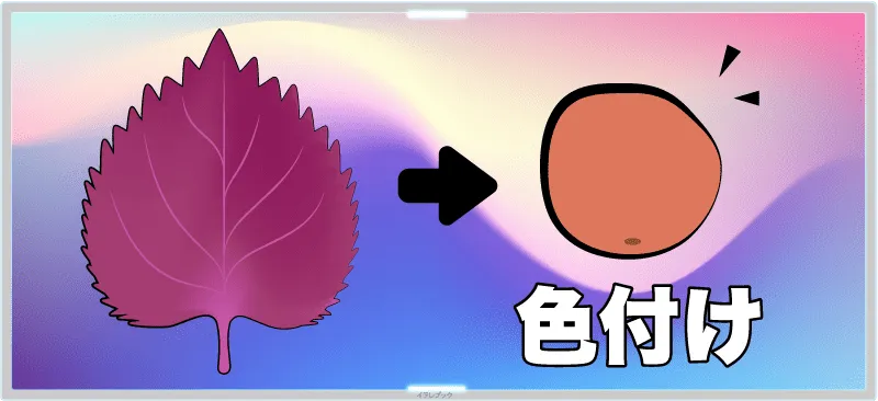 梅干しを赤くするために赤紫蘇を入れる