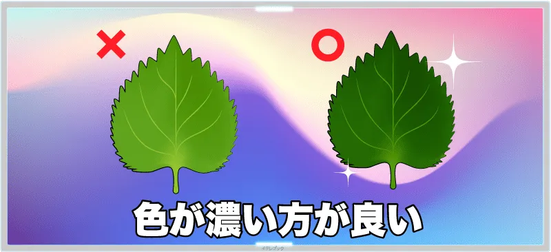 緑が濃いものを選ぼう