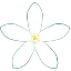 みかんの花