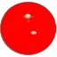 みかんの選び方