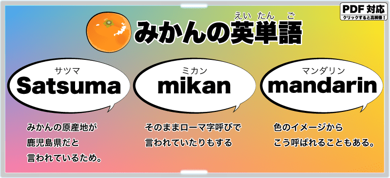 みかんの英単語 Satsuma mikan mandarin